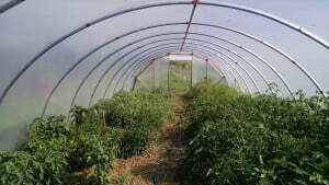 4.19.16 Nurturing Self-Sufficiency - PWNA-LTS-CIP-Red Paint Community-2015 (3)