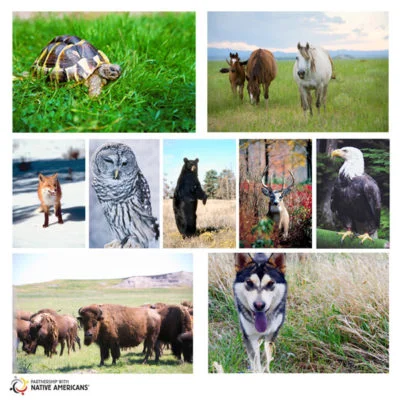 8.21.18-Spirit-Animals-Helen-