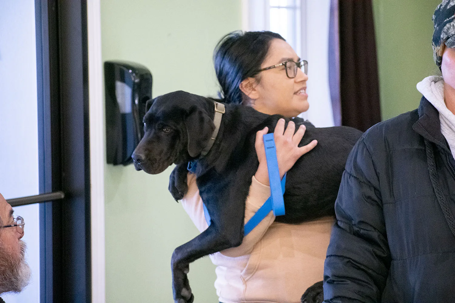 A person is holding a black dog with a blue leash inside a building.