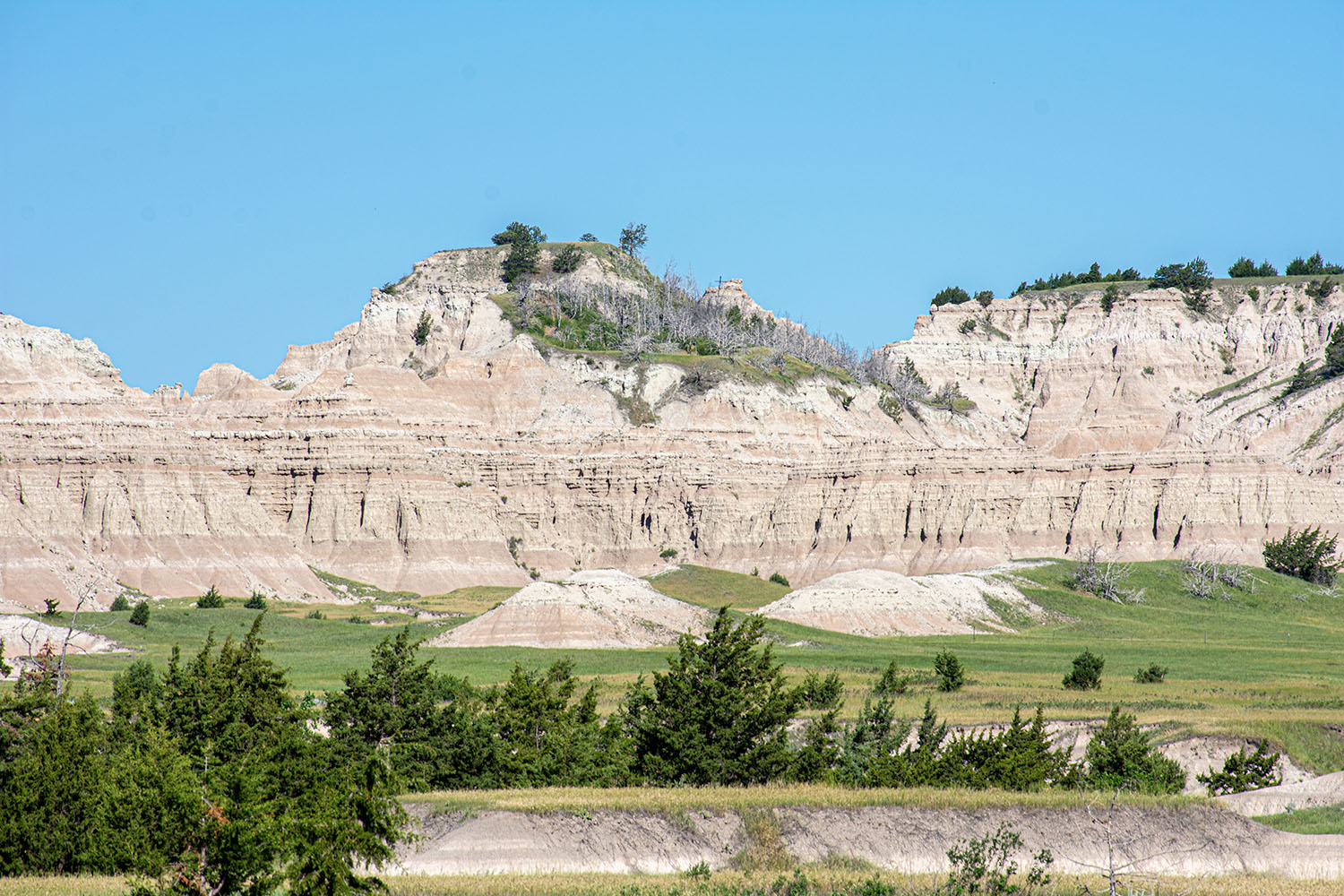 What Is Ridge Native South Dakota: Pine Ridge Reservation – PWNA