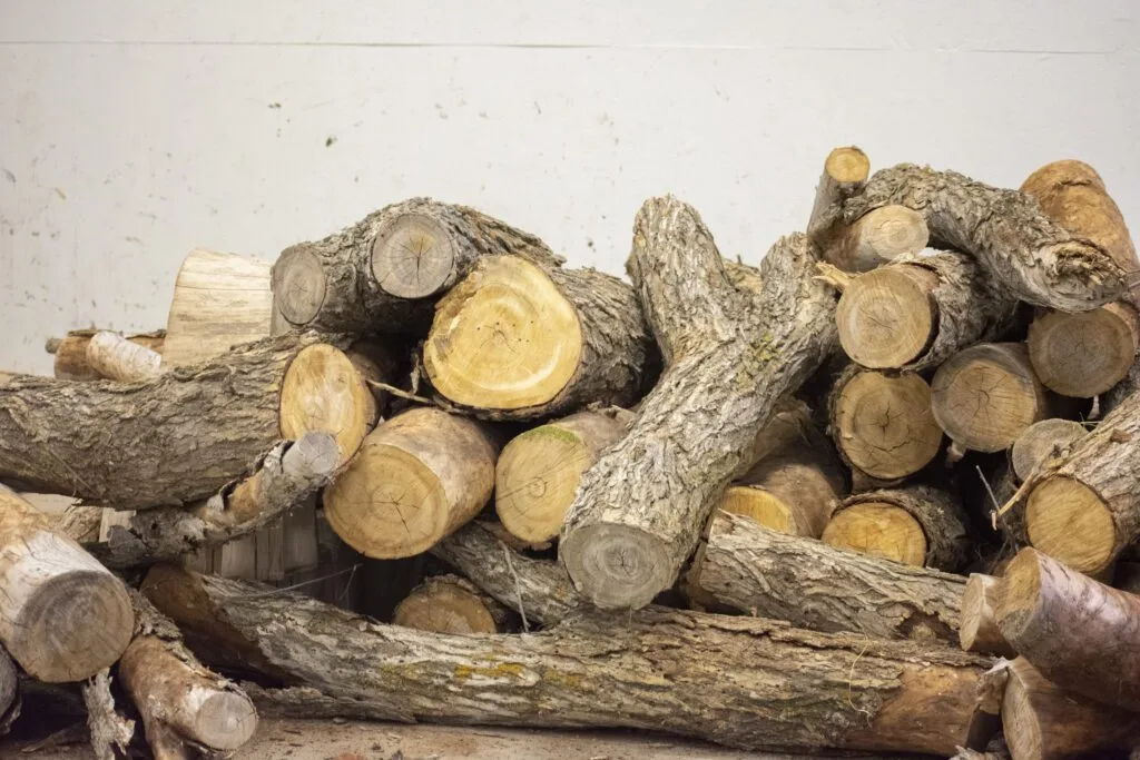 A stack of cut firewood logs piled against a plain wall.
