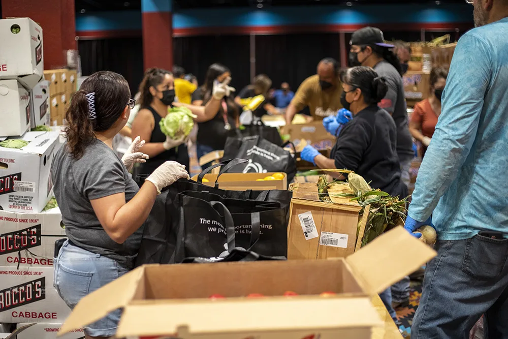 A group of people are engaged in a food distribution event, sorting vegetables and packing bags.