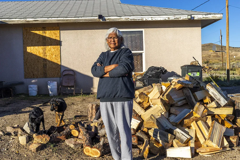 A person stands in front of a house with a pile of firewood and two dogs nearby.