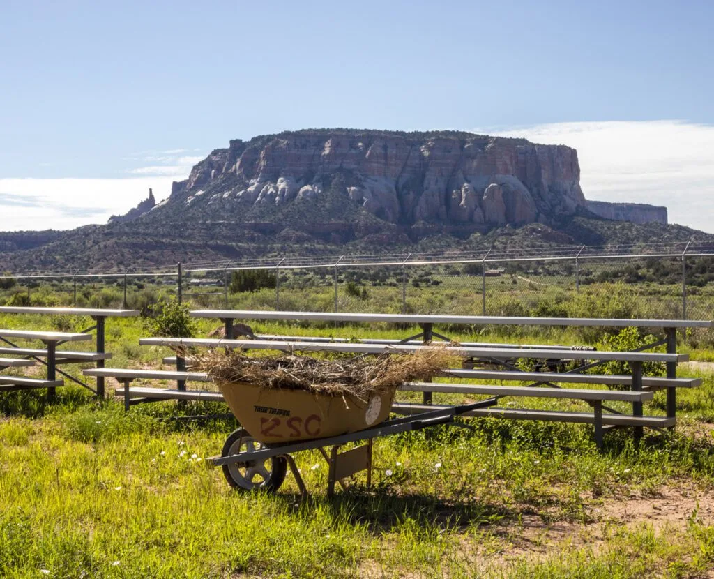 A wheelbarrow with straw is in a field near bleachers, with a rocky mesa in the background, suggesting a rural setting.