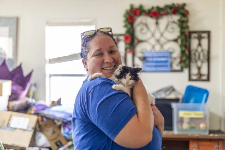 Strong Kitten Find It's Home