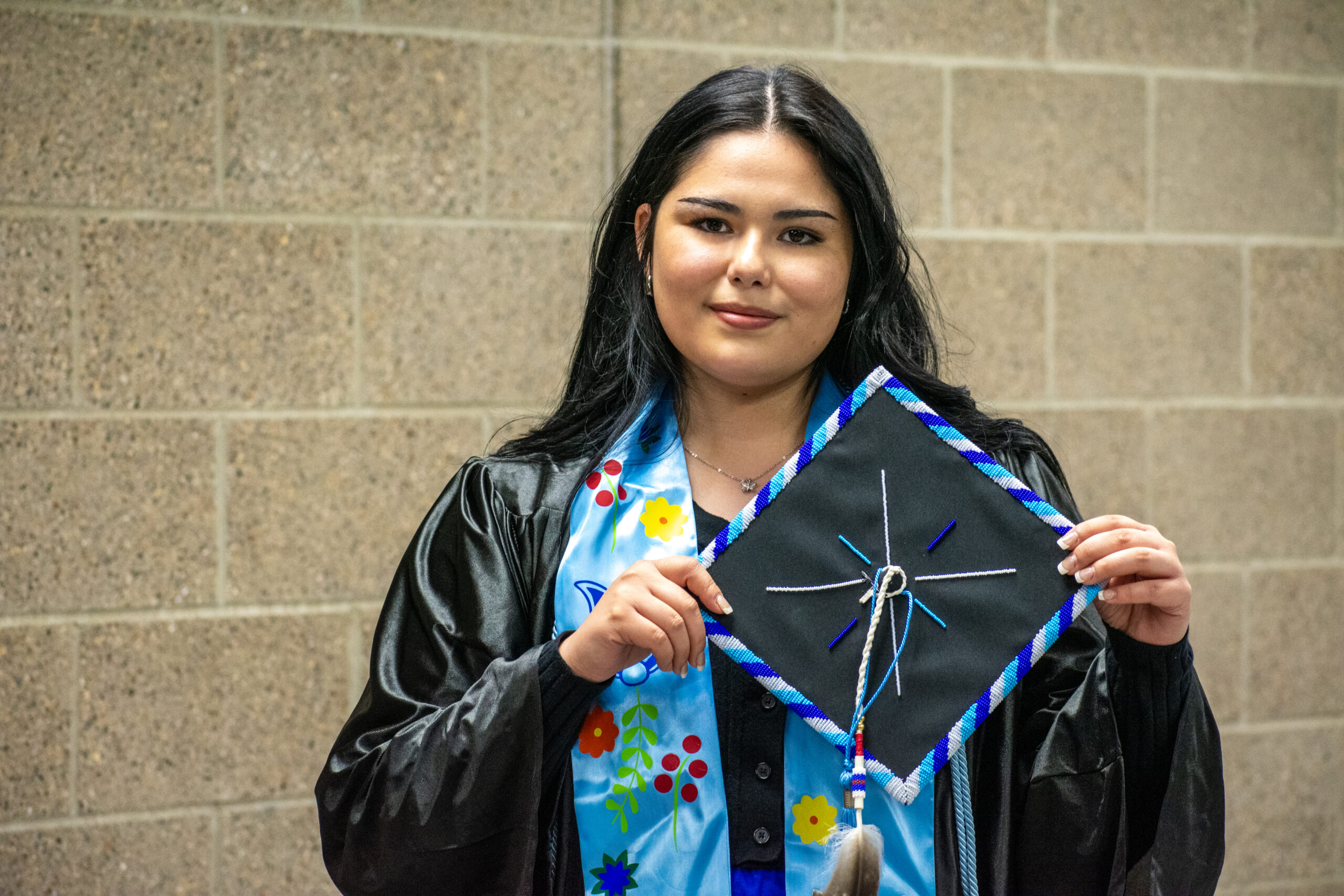 Butterfly in the Blue Sky
